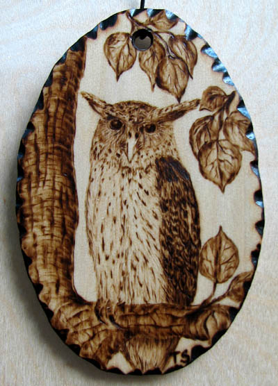 forest eagle owl tanja sova pyrogaphy